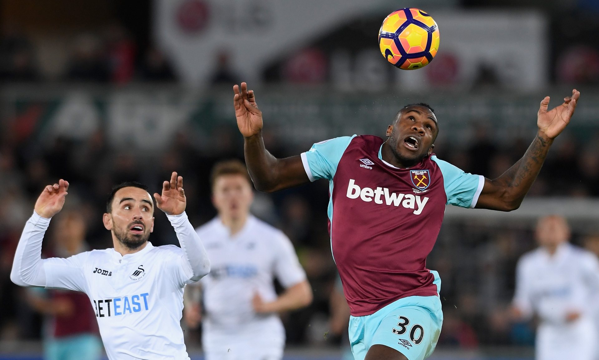 本赛季的国 本赛季的国